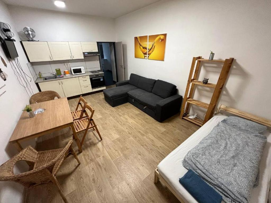 Apartments Near The Center With Privat Parking Brno Eksteriør bilde